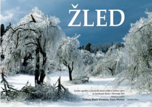 795 1 300x211 - Žled - Kratke zgodbe o izkustvih skozi srhljivo ledeno ujmo in čarobnost žleda v Sloveniji 2014