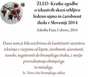 795 4 300x262 - Žled - Kratke zgodbe o izkustvih skozi srhljivo ledeno ujmo in čarobnost žleda v Sloveniji 2014