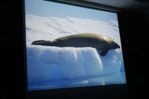 DSC01274 resize kopija 300x200 - Peter Hribar: Antarktika - predavanje