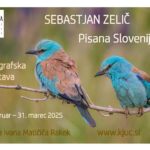 Sebastjan Zelič - Pisana Slovenija