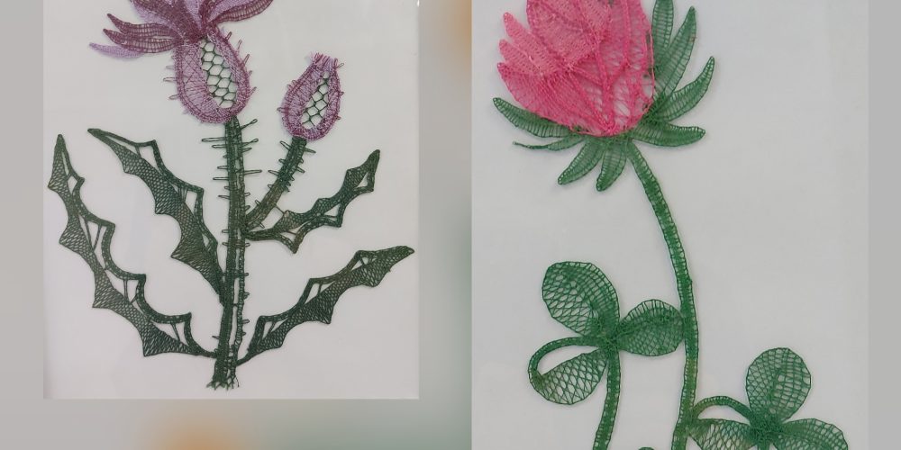 Zdravilne rastline – razstava klekljanih čipk Klekljarske sekcije KD Rak Rakek