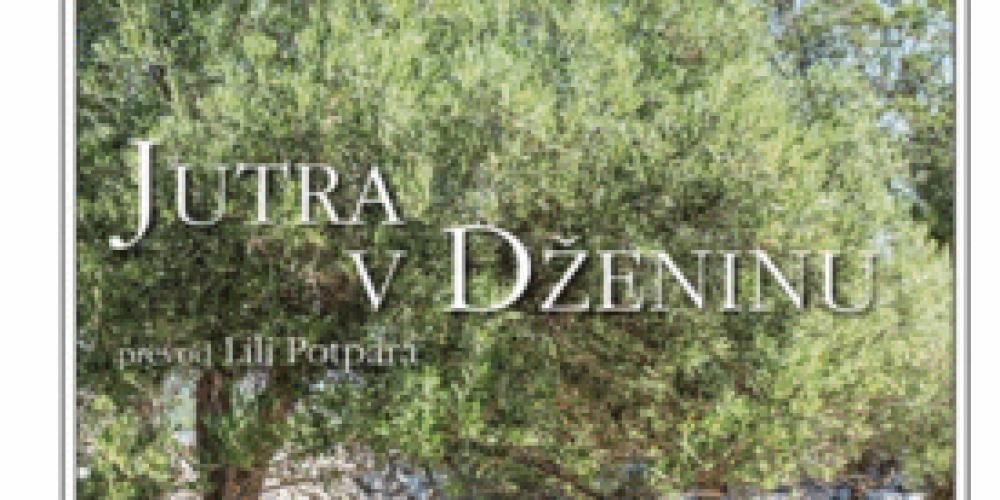 Poletni knjižni predlog knjižničarke Martine – prispevek na Radiu 94