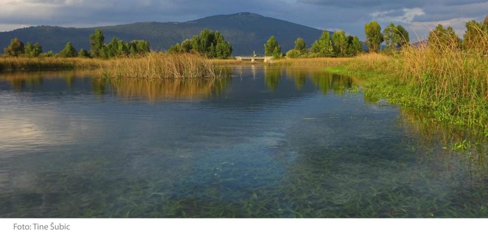 Cerkniško jezero – samostojna fotografska razstava Tineta Šubica