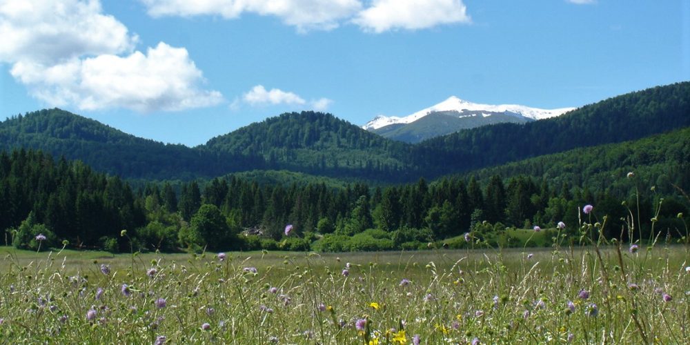 Borut Kraševec: Moja dolina – razstava fotografij