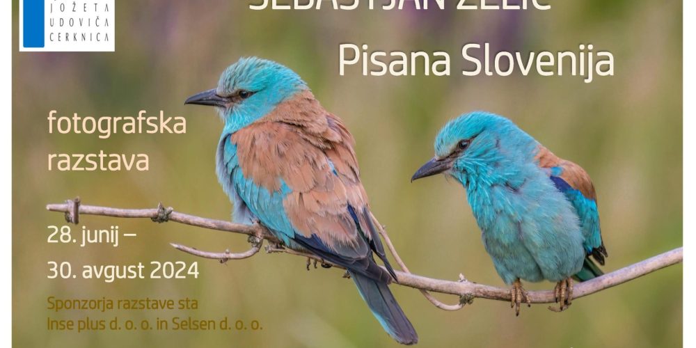 Sebastjan Zelič: Pisana Slovenija