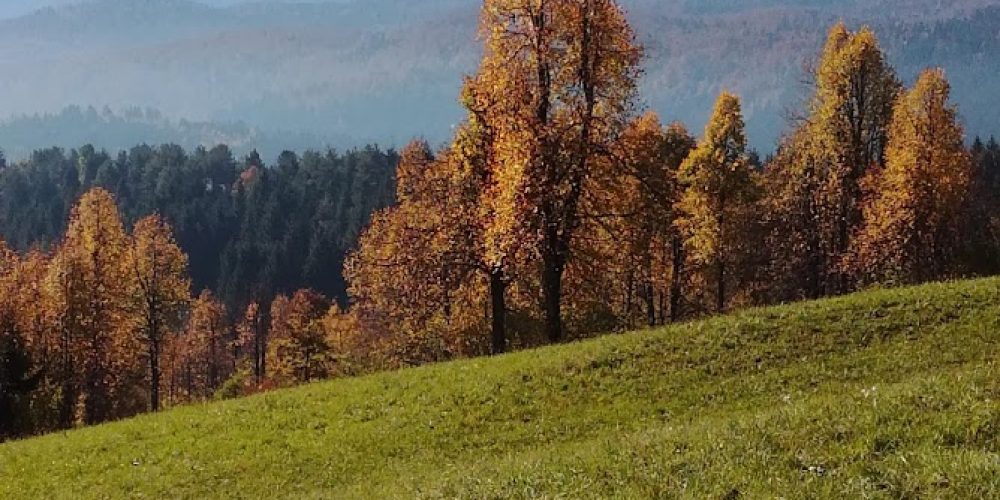 Poziv za sodelovanje na pesniškem natečaju »Pesmi izpod Snežnika«