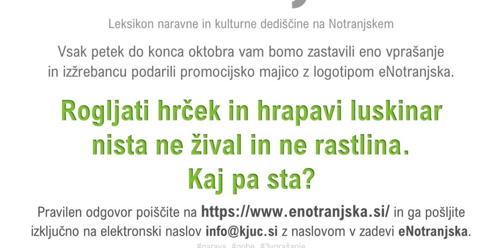 Nagradna igra eNotranjska – 3. vprašanje